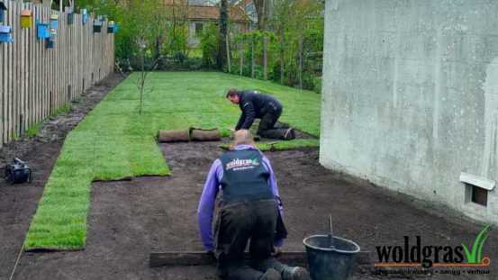 Aanleg graszoden Ezinge