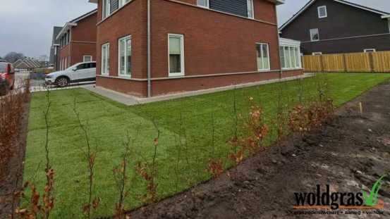 Aanleg graszoden Sappemeer