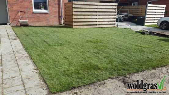 Graszoden leggen Loppersum 