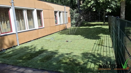 Nieuw gazon bij het MFC in Winschoten! 🌿