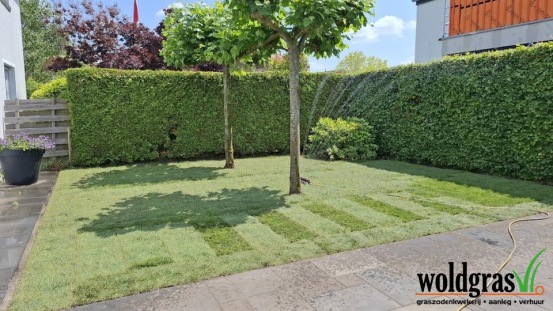 Stralend nieuw gazon in Harkstede! 🌱