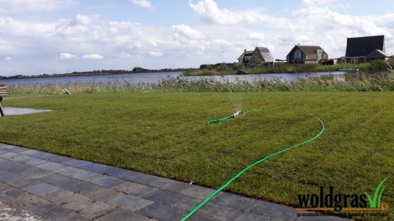 Aanleg graszoden Meerstad 