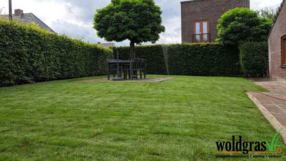 Aanleg grasmatten Wildervank
