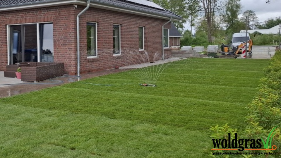 Project Wagenborgen &ndash; Strak gazon met premium uitstraling 🌱✨