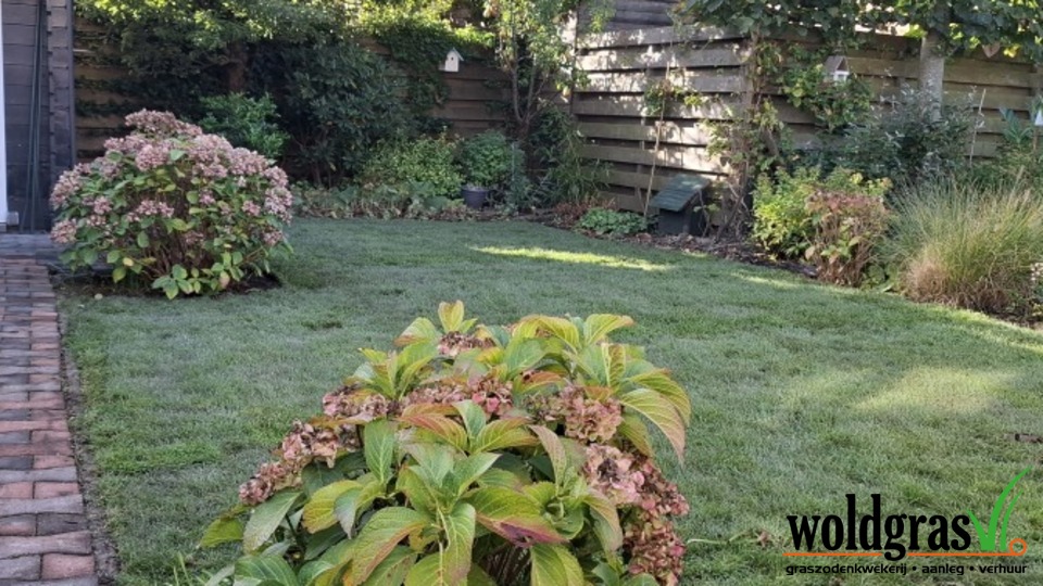 Tuin aanleg Winsum