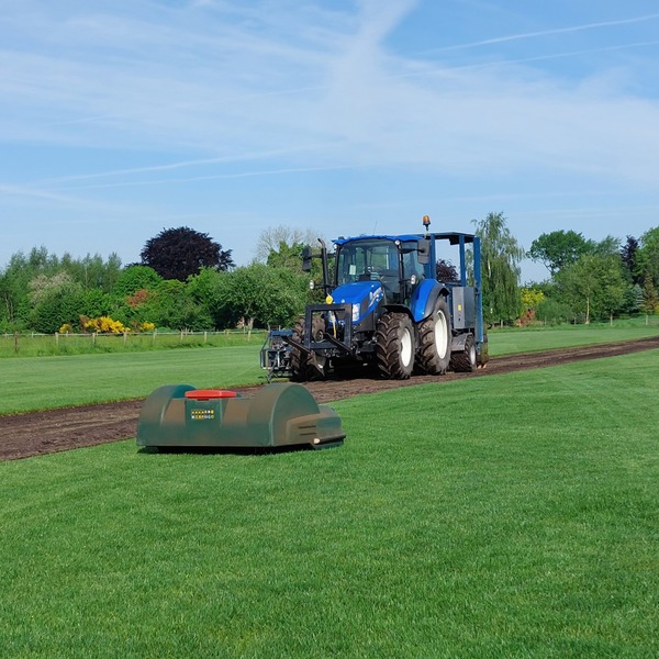 Woldgras graszoden