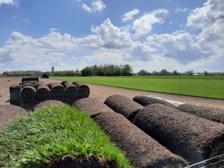Graszoden Speelgazon per 1m2   
