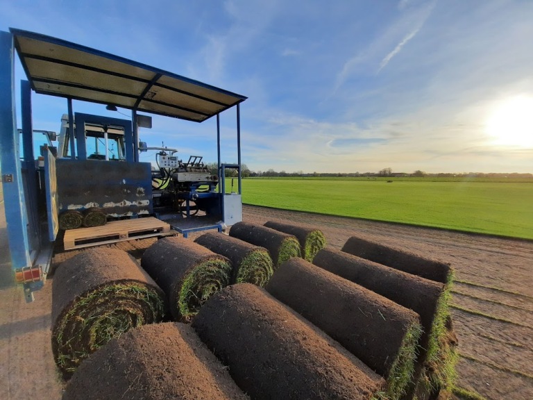 Graszoden Speelgazon per 1m2   