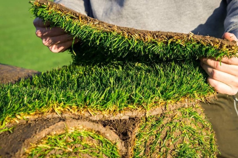 Graszoden Speelgazon per 1m2   