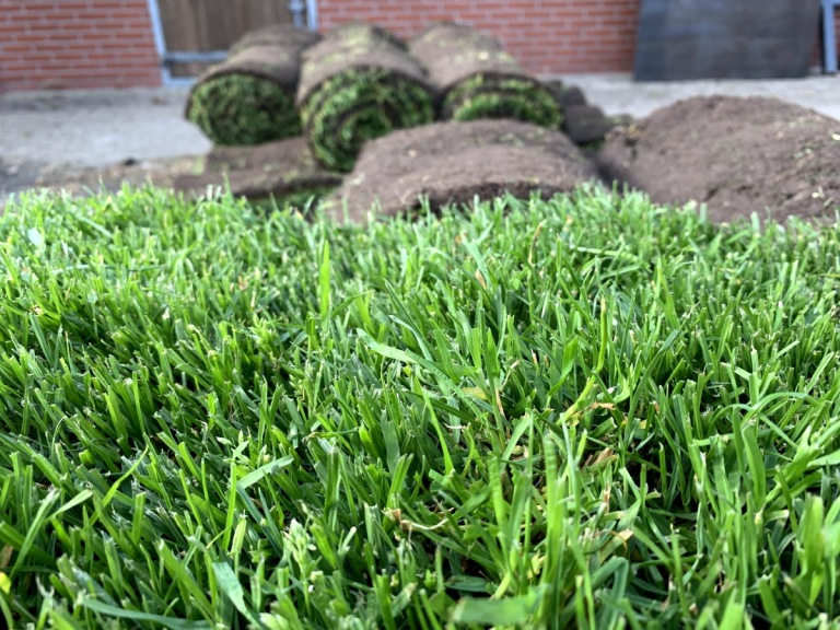 Graszoden Speelgazon per 1m2   