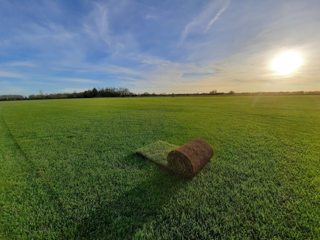 Raad Ambitieus ventilator Speelgazon graszoden kopen? - Woldgras