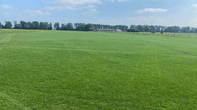 Natuur Graszoden per m2 