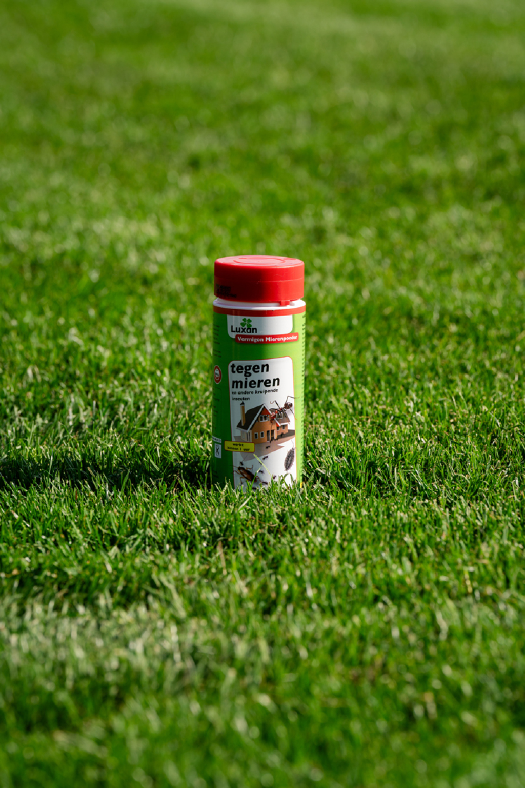  Vermigon Mierenpoeder 400 gr. 