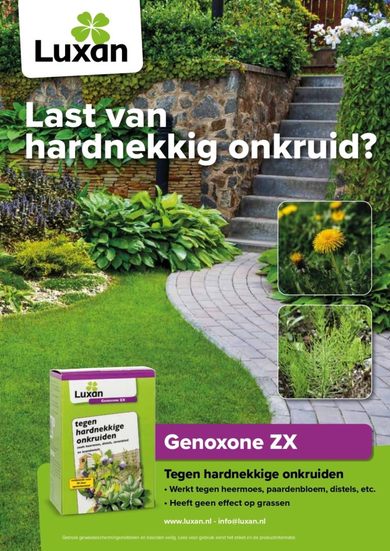 Genoxone ZX 250 ml