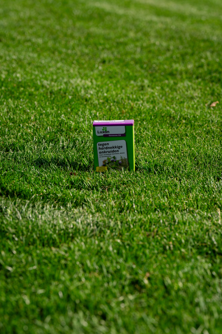 GENOXONE ZX 100ML